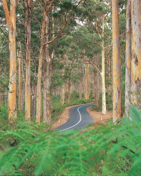 Caves Road