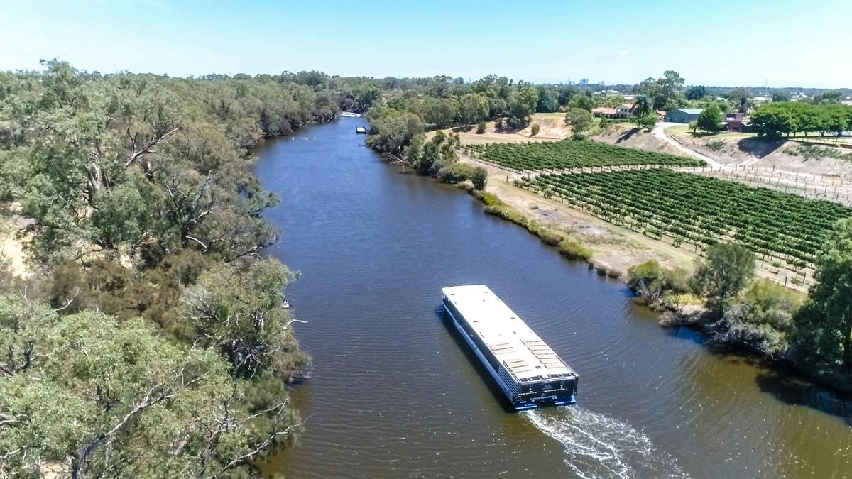 Swan Valley Wine Cruise