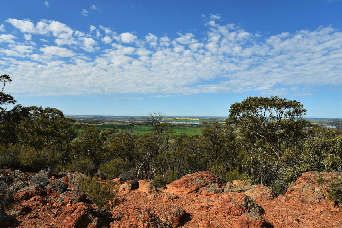 County Peak