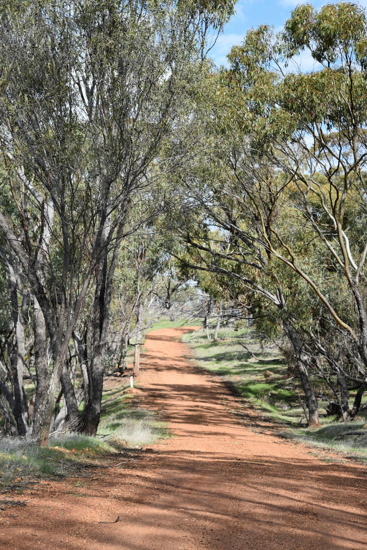 Drive to County Peak