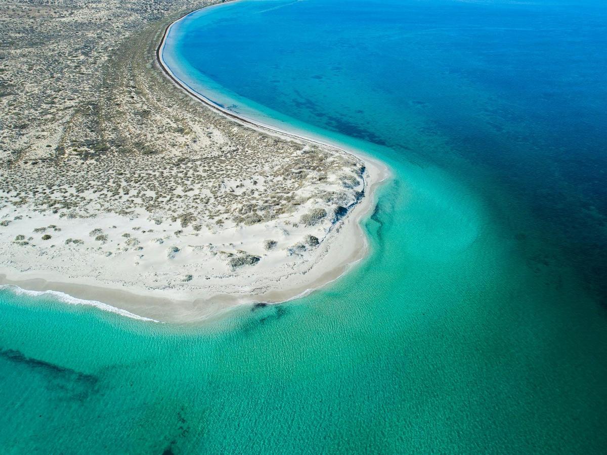 Coral Bay