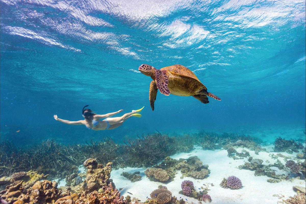 Coral Bay, Western Australia