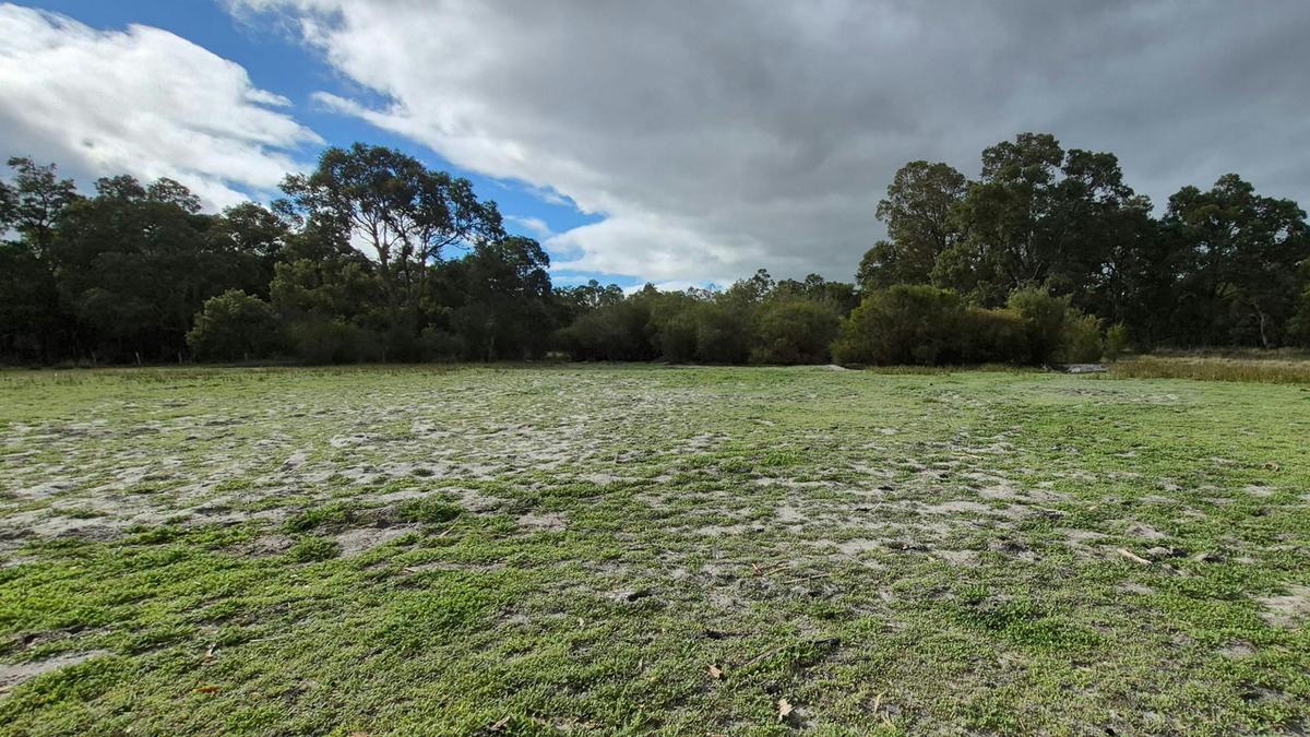 Casuarina Bush Farm Camping