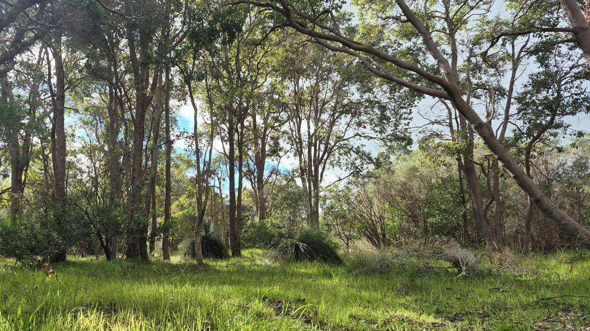 Casuarina Bush Farm Camping