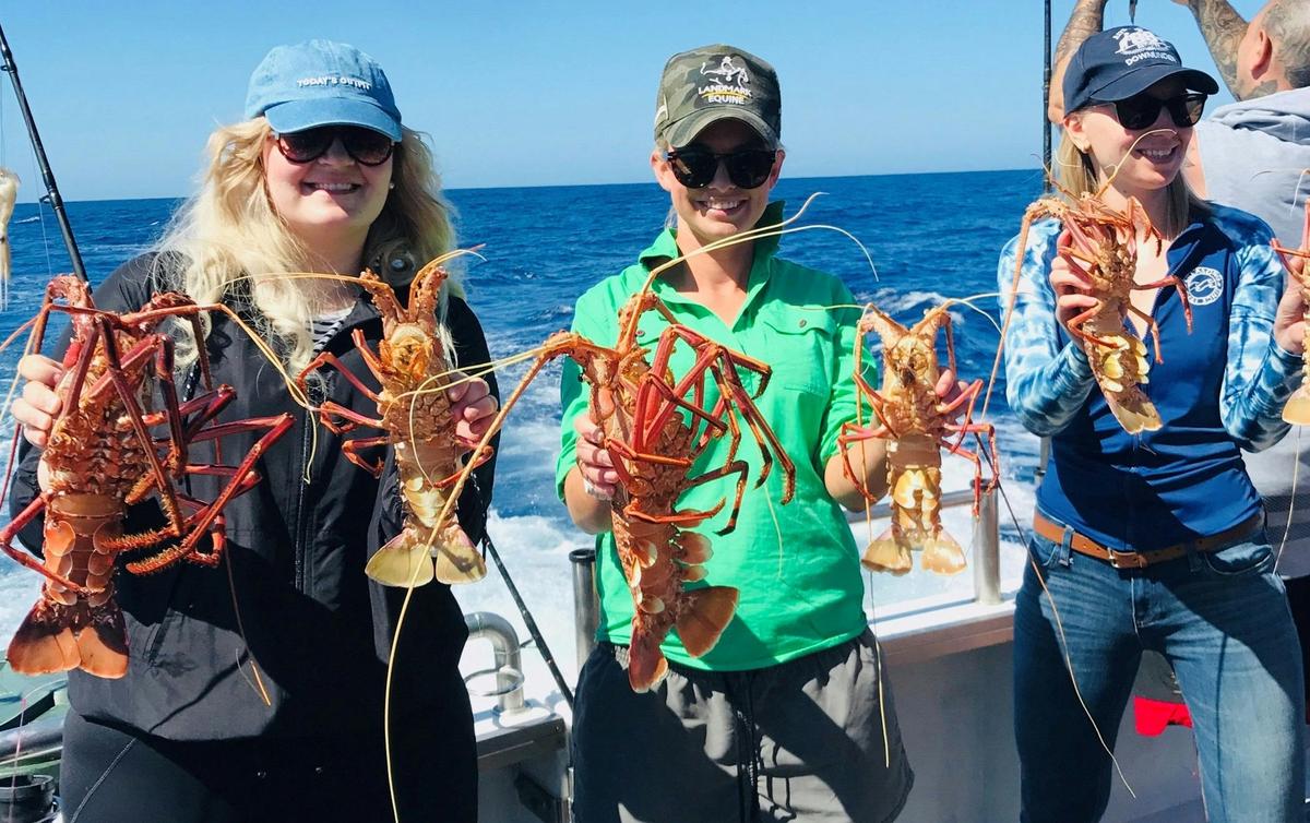 Rock Lobster Tour