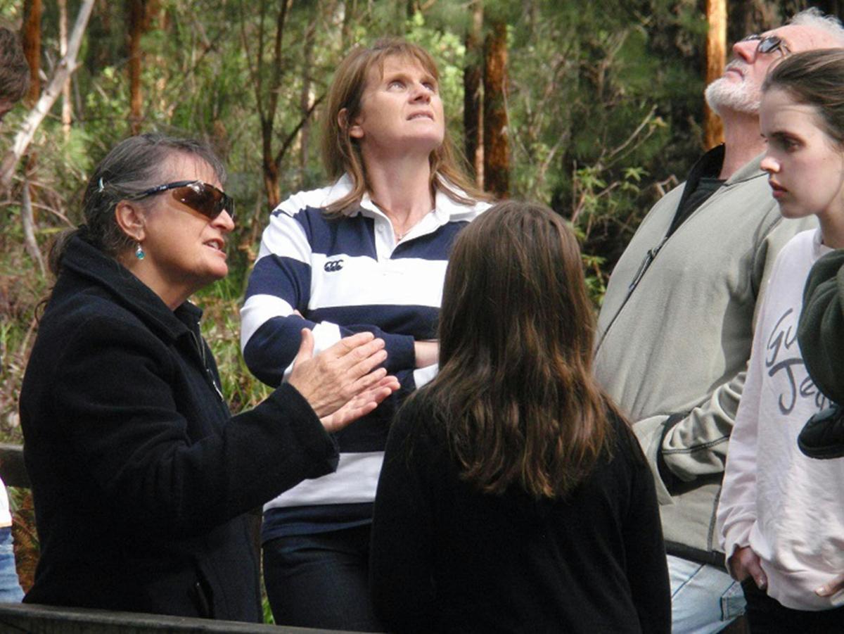 Guided Tours