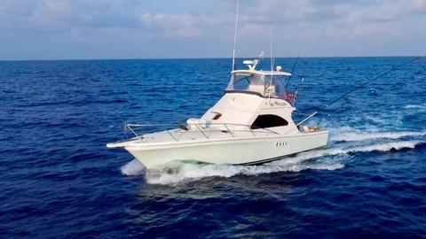 All The Gear No Idea Sportfishing