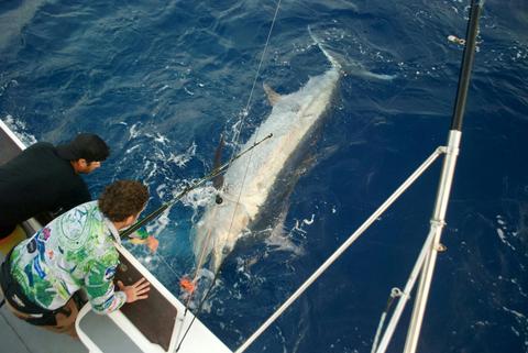 Game Fishing Charters
