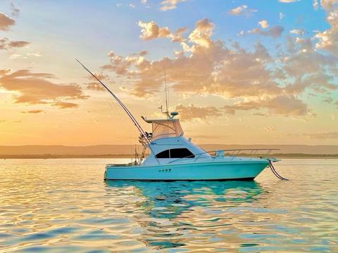 All The Gear No Idea Sportfishing