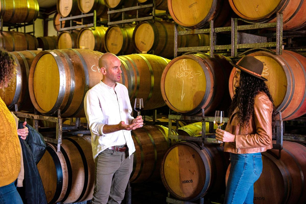 Behind the scenes at winery in the barrel room