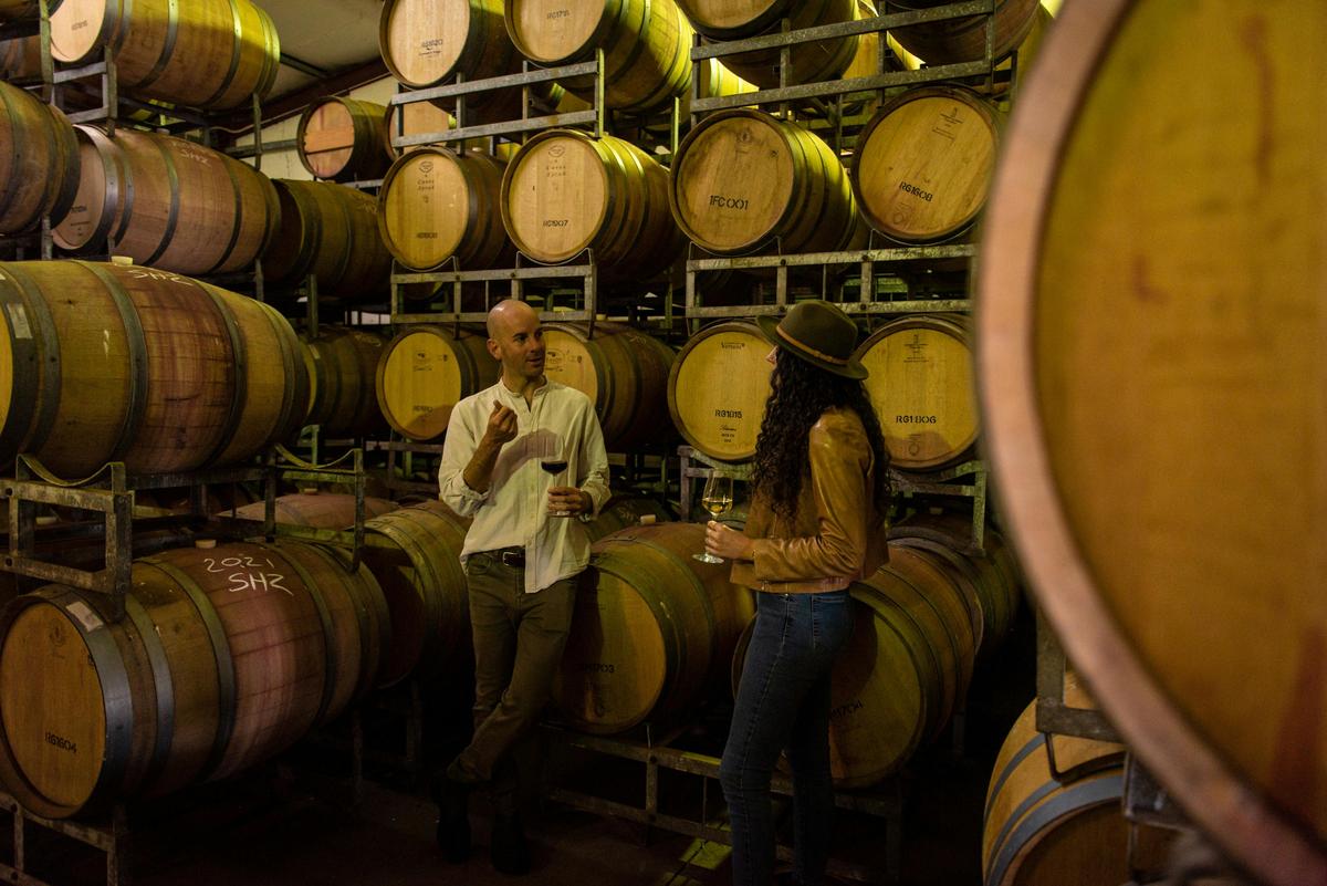 Secret Delights: Small-Group Curated Wine, Coffee, Lunch & Forest Tour