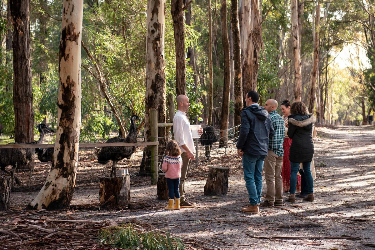 Bespoke Private Tour of Margaret River