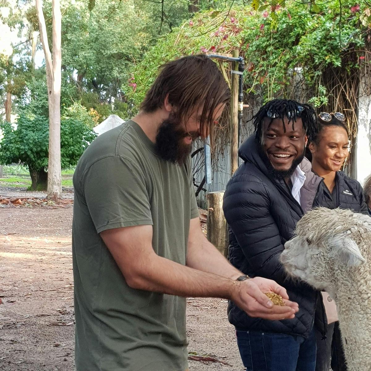 Hidden Gems Boutique Full-Day Wine, Olive Farm Lunch & Emu Feeding Tour