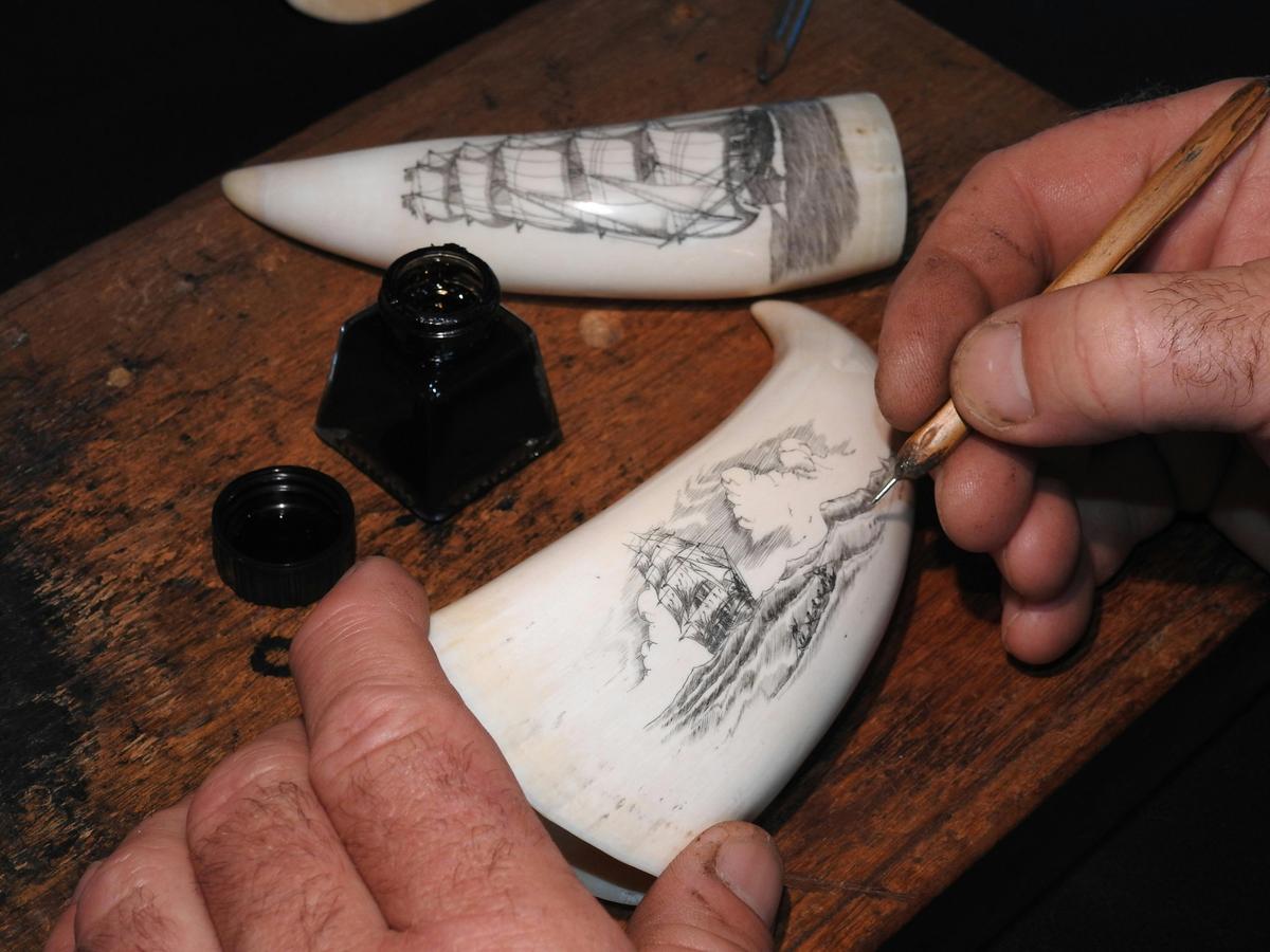 The Art of Scrimshaw Exhibition at Albany's Historic Whaling Station