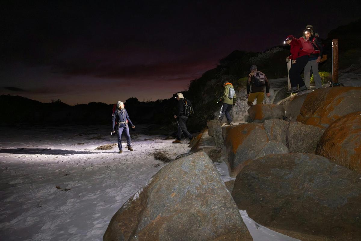 Twilight Hike and Bush tucker