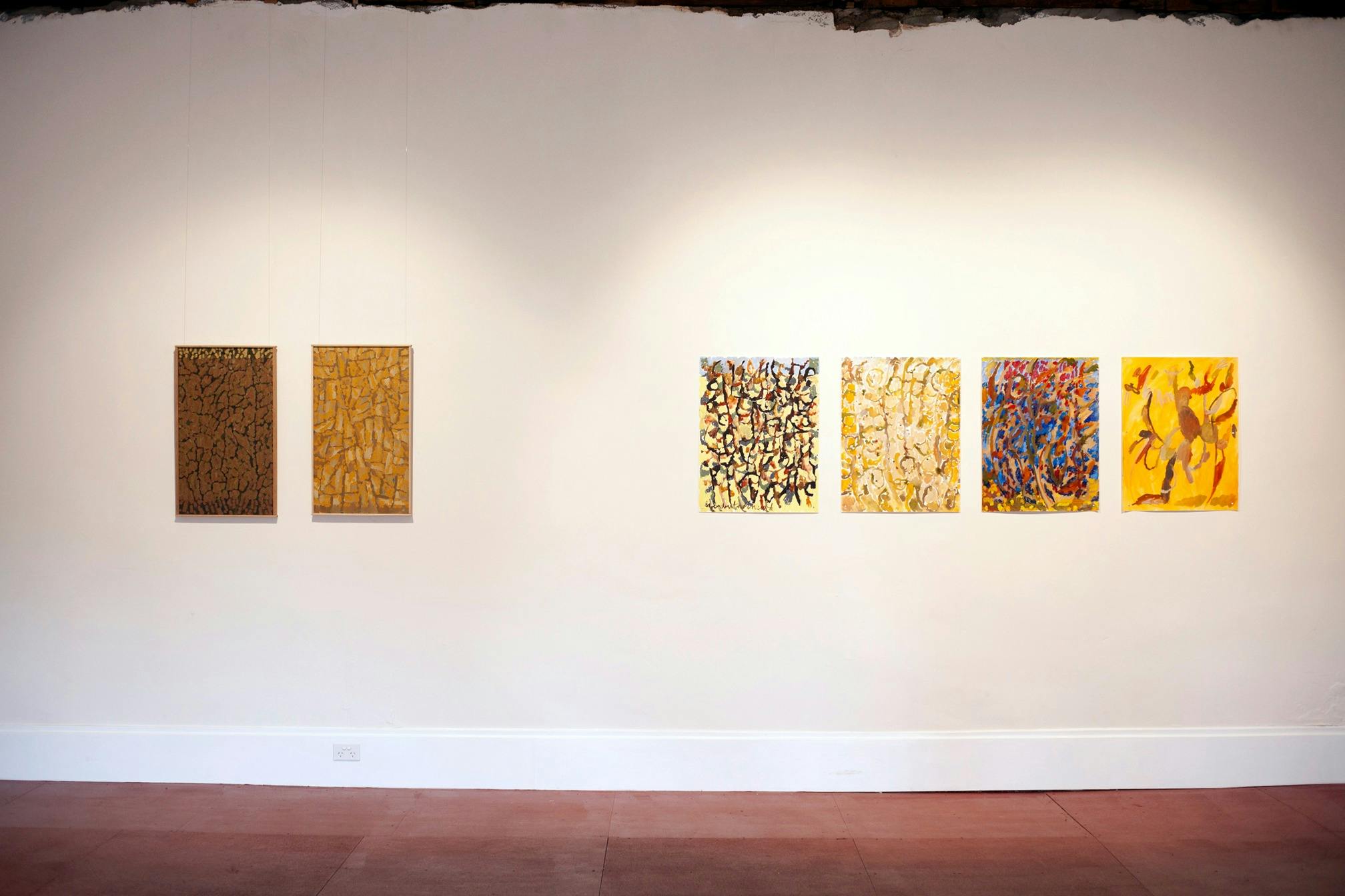 Installation view, Joshua de Gruchy: Watching a story, 21 June - 18 August 2024