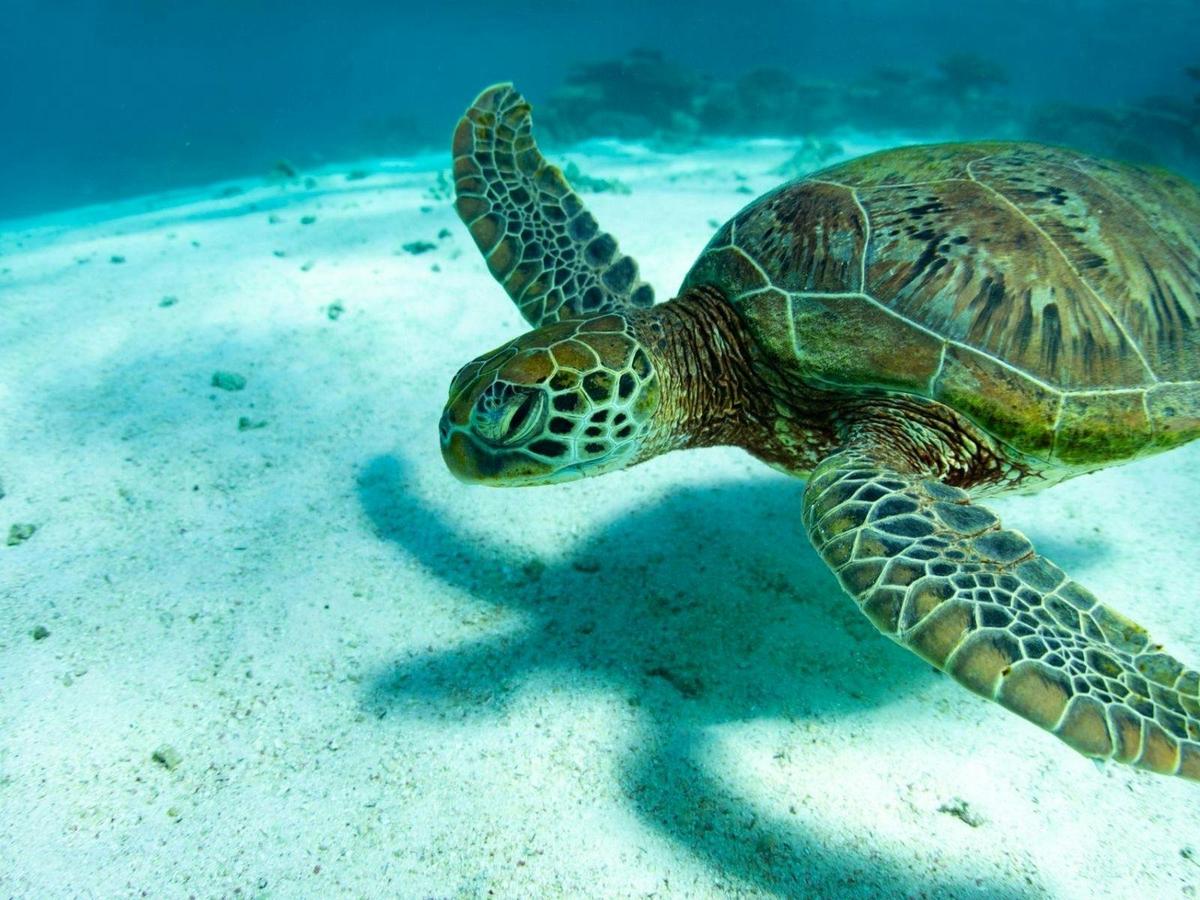 Australian Geographic Travel