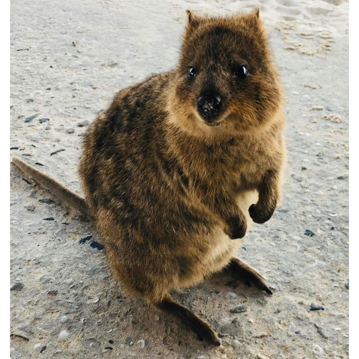 Rottnest Island Private Boat Charter