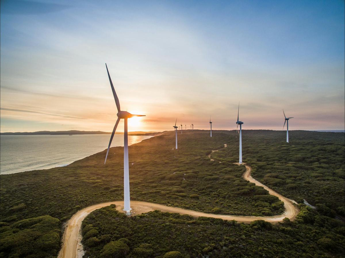 Albany Wind Farm