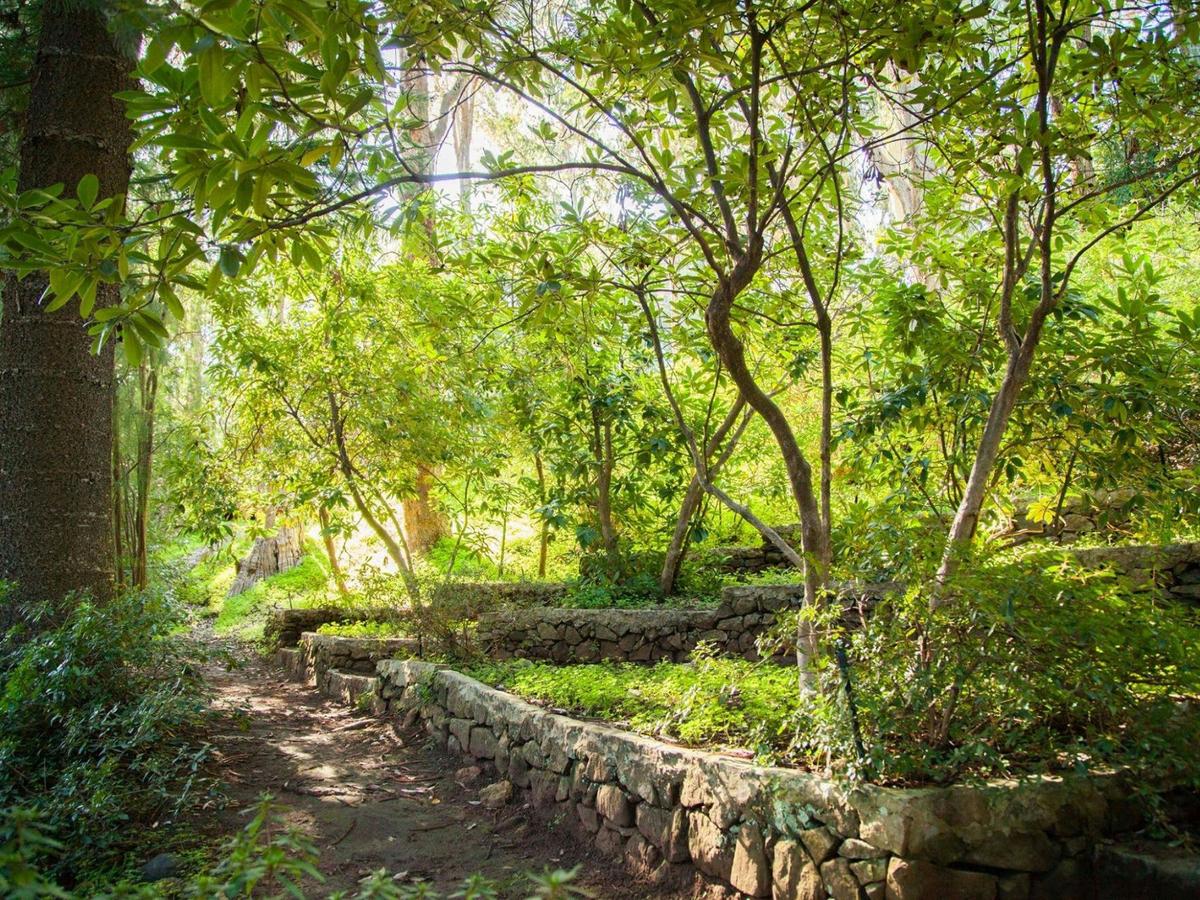 Lush part of the Park