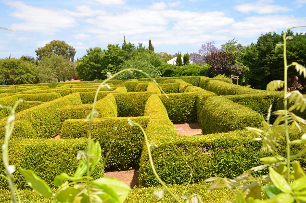 Large Hedge Maze