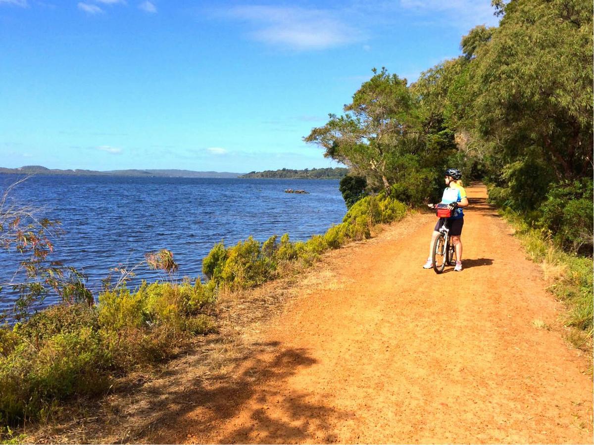 Cycling along the Munda Biddi Trail from Albany to Walpole.