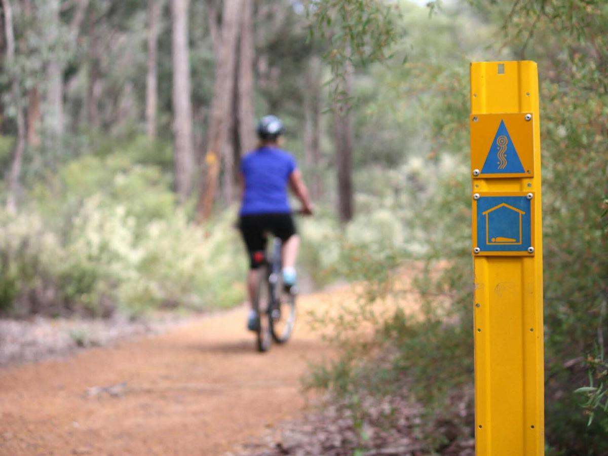 Cycling along the Munda Biddi Trail from Albany to Walpole.