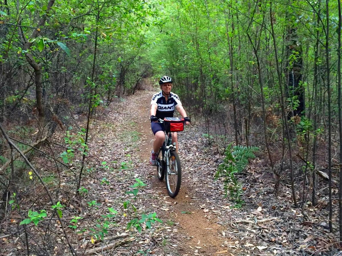 Cycling along the Munda Biddi Trail from Albany to Walpole.
