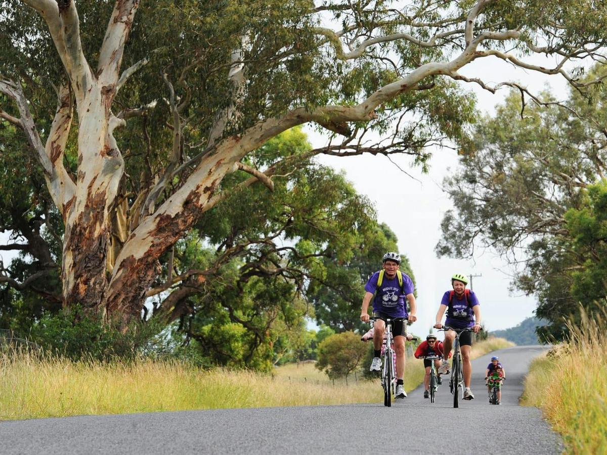 Munda Biddi Southern Cycle