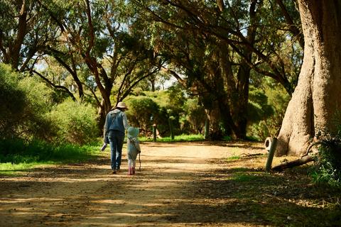 Baldivis Children's Forest
