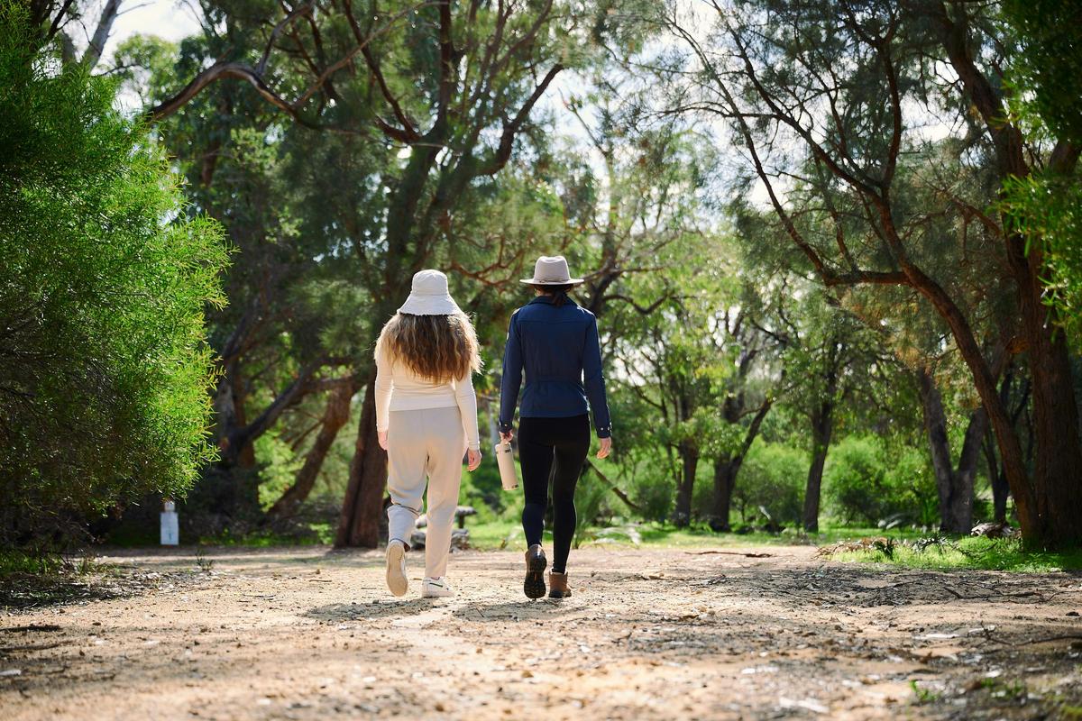 Baldivis Childrens Forest trail