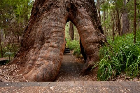 Bibbulmun Track - 10 Day - Self-Guided