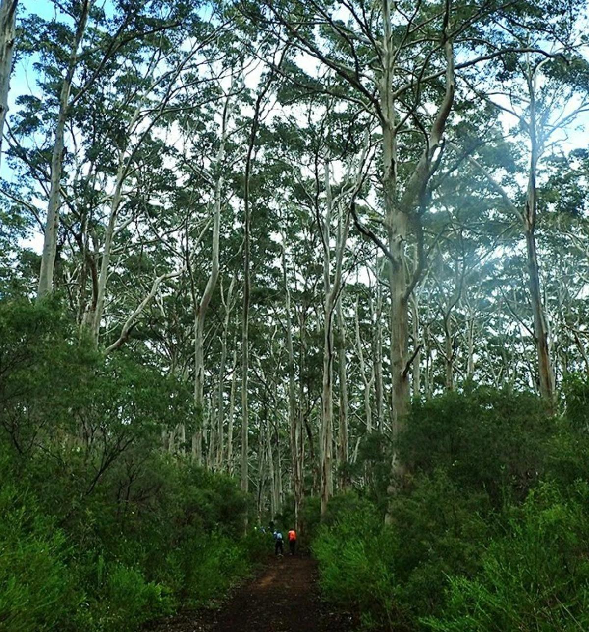 Cape to Cape End-to-End - 8 Day - Self-Guided