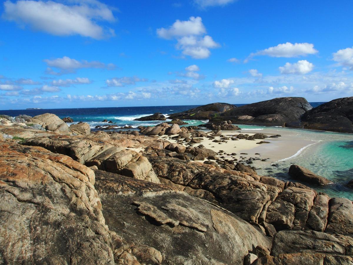 Cape to Cape Track - 8 Day Group-Guided