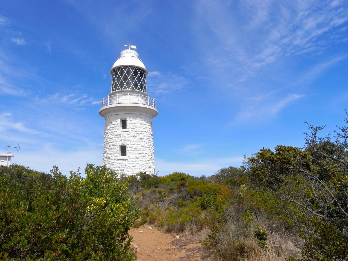 Cape to Cape Track - 8 Day Group-Guided