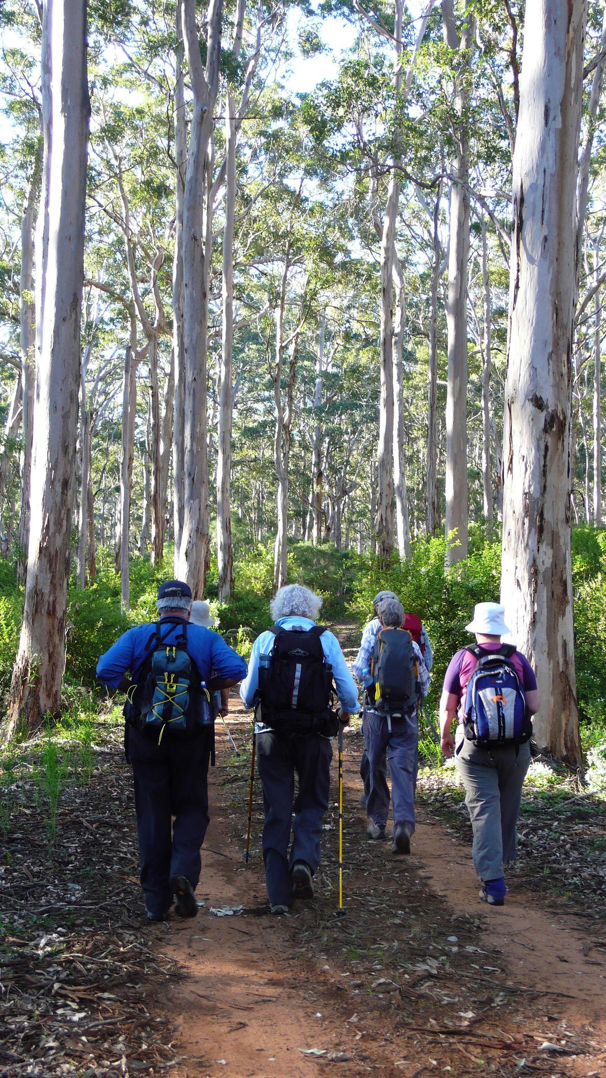 Cape to Cape Track - 8 Day Group-Guided