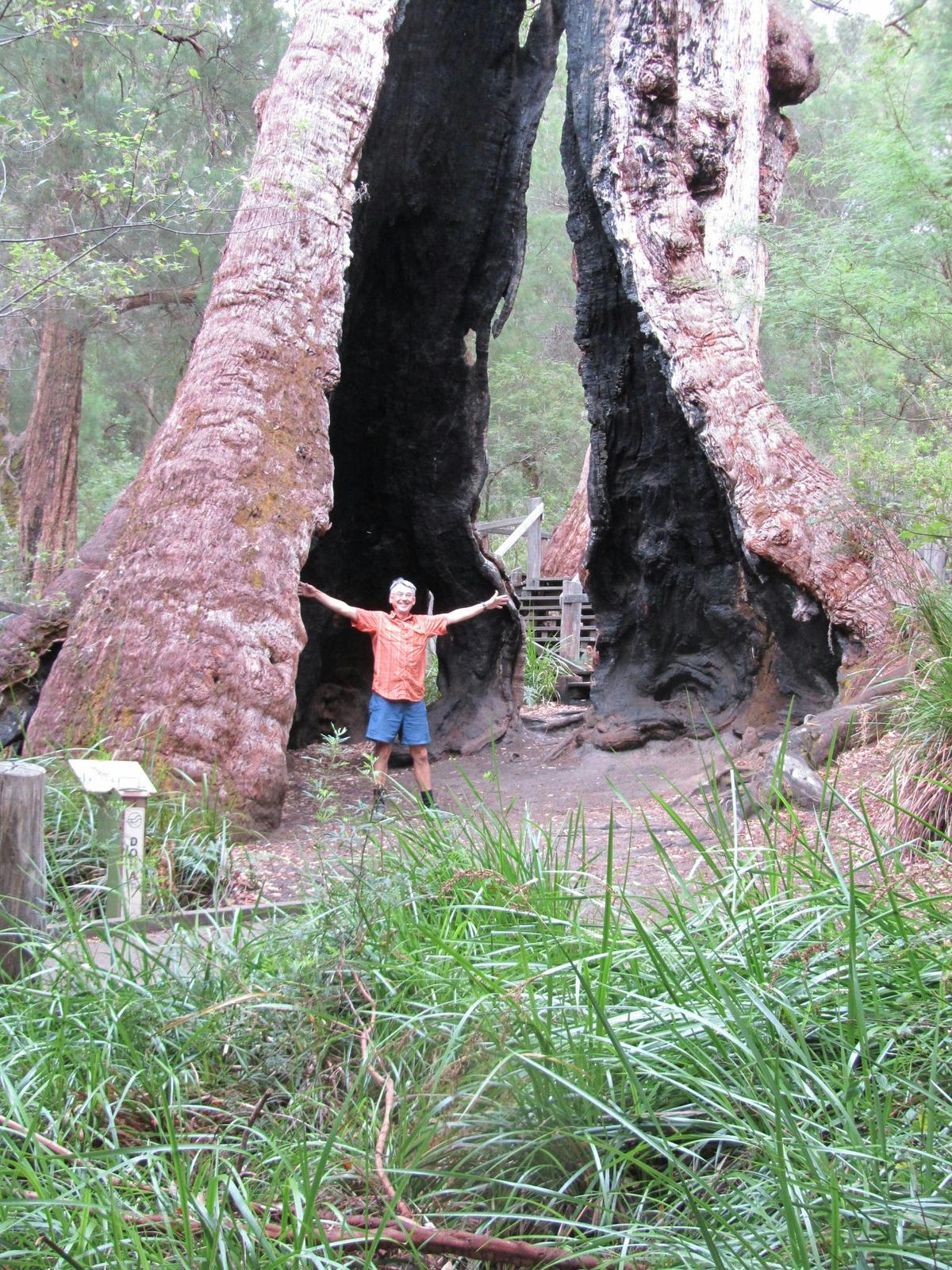 Bibbulmun Track 9-Day - Self-Guided