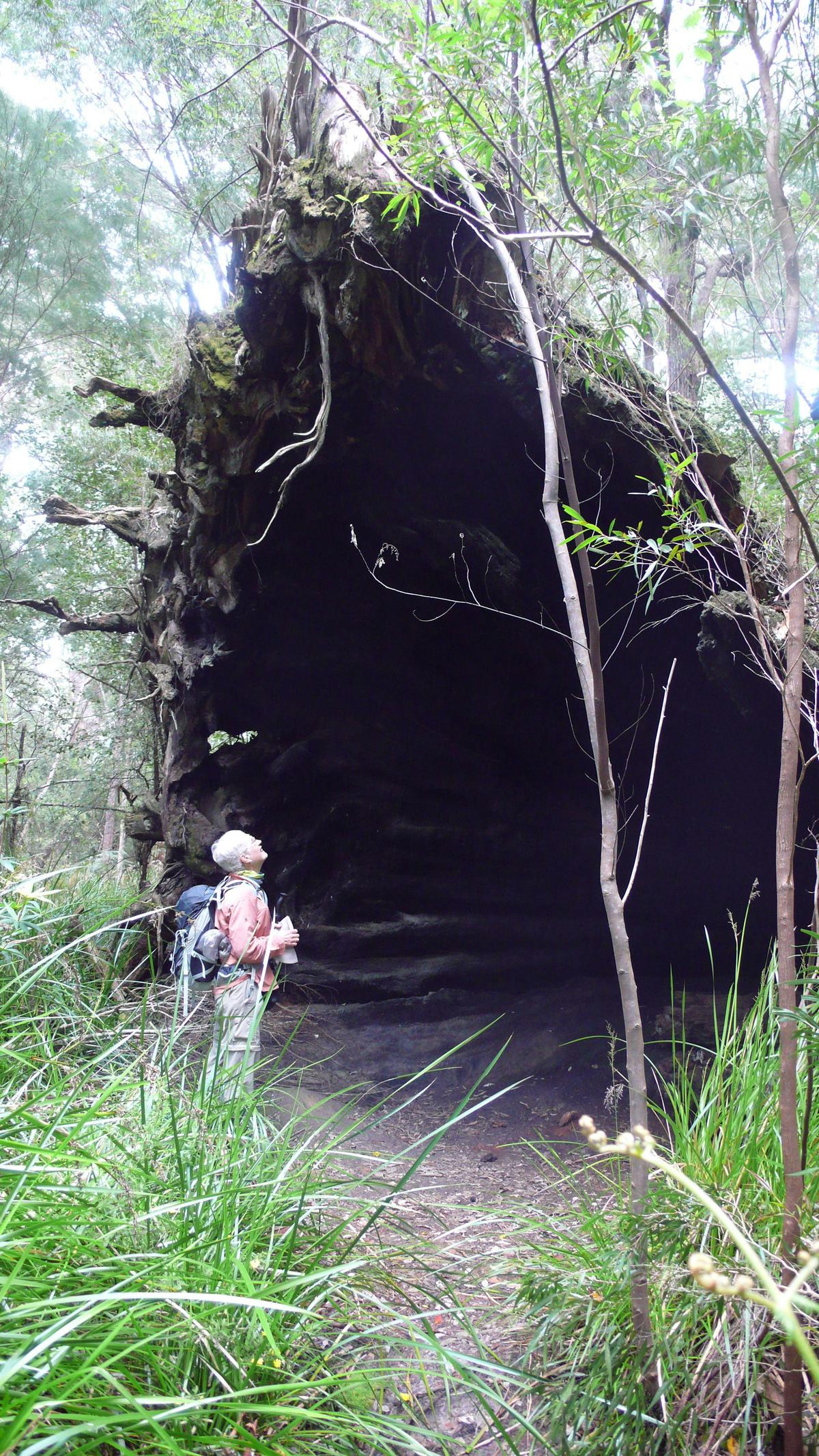 Bibbulmun Track 9-Day - Self-Guided