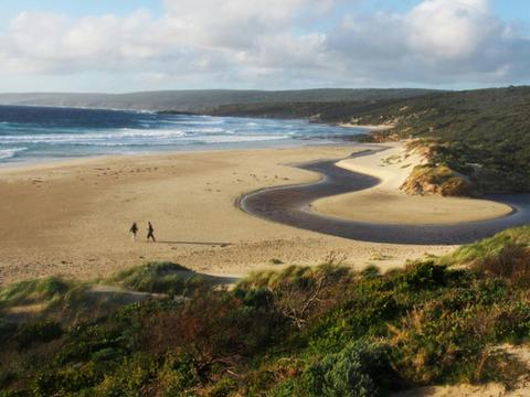 Cape to Cape in Style Highlights - 6 Day - Self-Guided