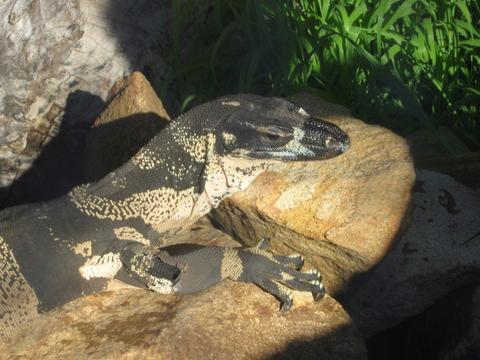 Armadale Reptile Centre