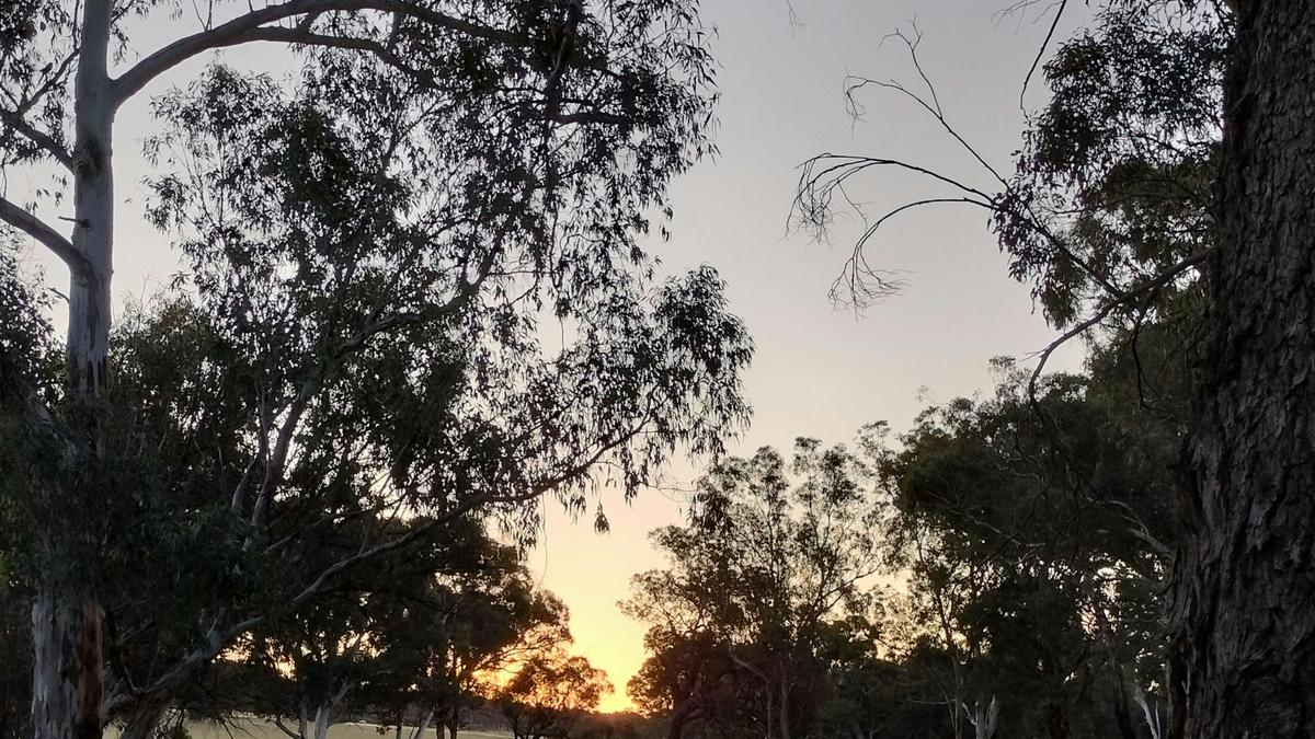 Avonbrook Wheatbelt creekside camp