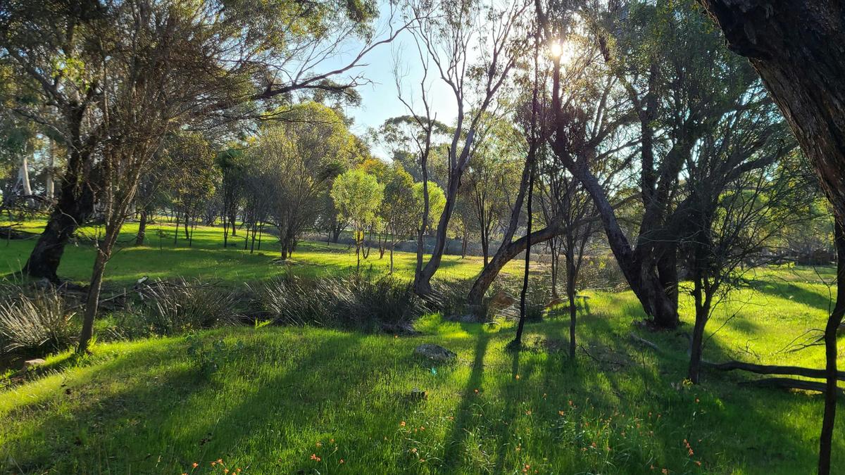 Avonbrook Wheatbelt creekside camp