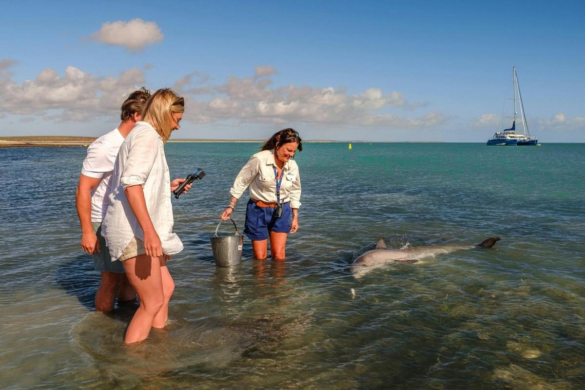 8 Day Perth to Exmouth with Ningaloo Reef Comfort One-Way Tour