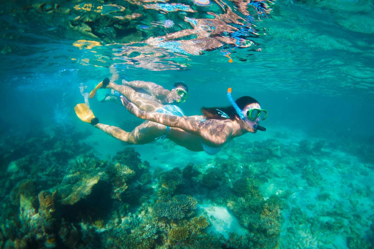 6 Day Perth to Exmouth Coral Coaster Original One Way Tour