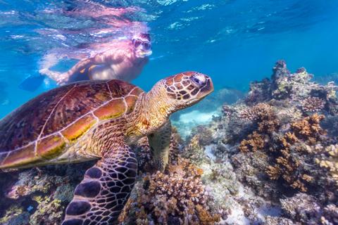 7 Day Perth to Exmouth Explorer & Ningaloo Reef Original Return Tour