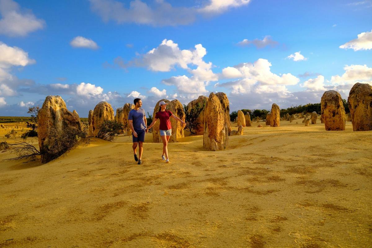 Pinnacles Sunset & Stargazing Tour with Picnic Dinner