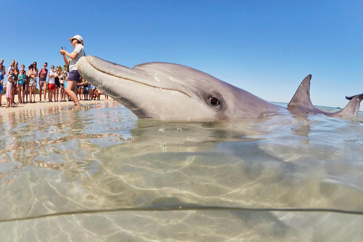 7 Day Perth to Exmouth Explorer & Ningaloo Reef Original Return Tour