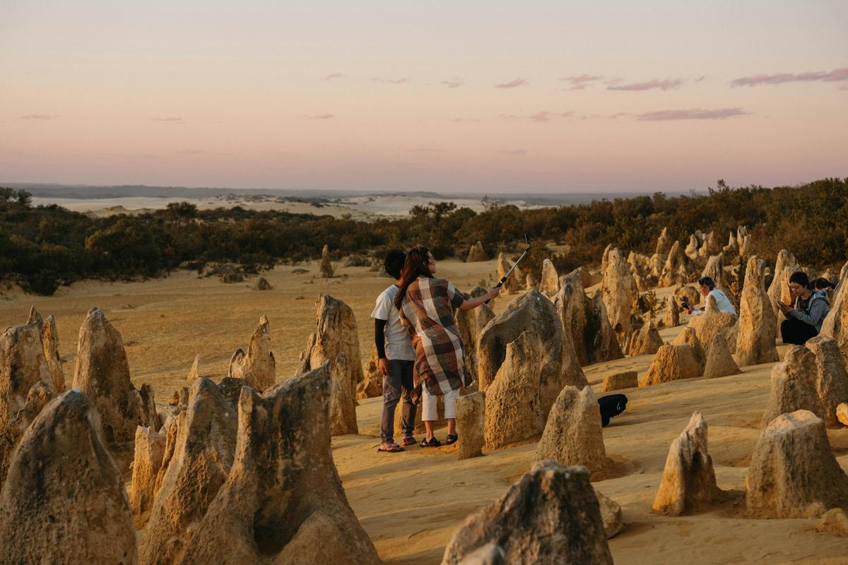 Pinnacles Sunset Tour