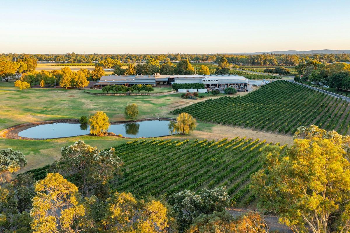 Swan Valley Winery