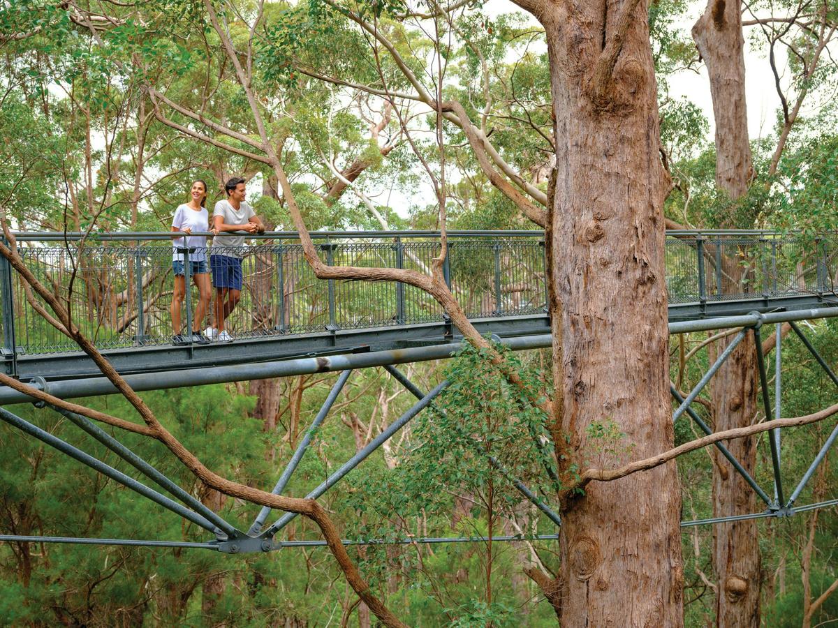 4 Days Bunbury, Treetop Walk, Albany, Esperance, and Wave Rock